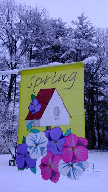 Spring Flag in Snow